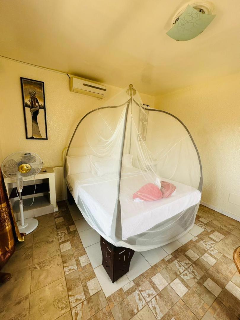 Riad Cote Jardin 萨利波图尔 外观 照片